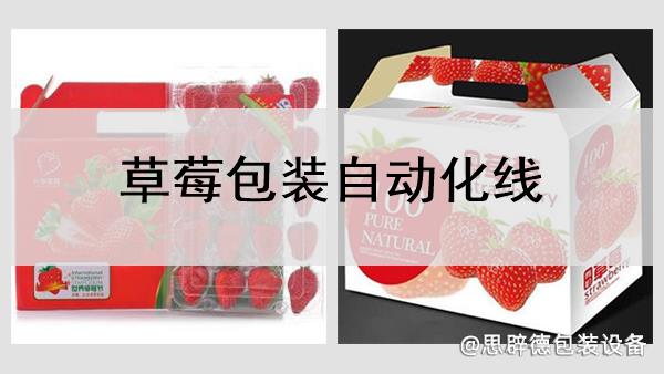 草莓包裝自動化線