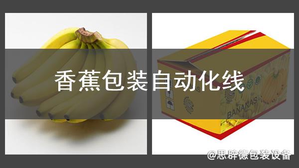 香蕉包裝自動化線